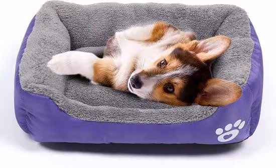 Cuccia impermeabile per cani, morbido cuscino, viola, lavabile