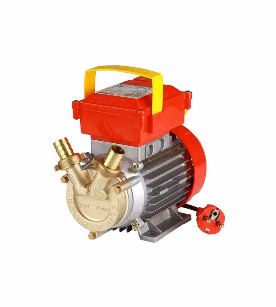 Elettropompa da travaso Rover monofase da 0,5 Hp con attacco da 20 mm in bronzo multicolore