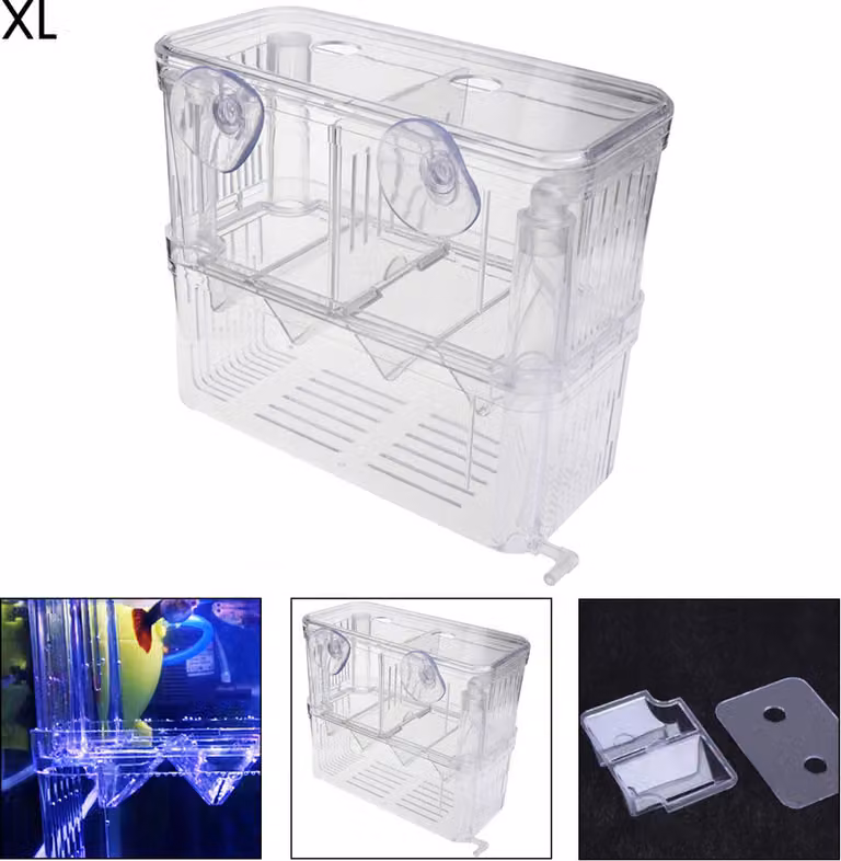 Acrilico pesce allevamento acquario doppio strato appeso avannotti bambino Beilubator Net isolamento Box