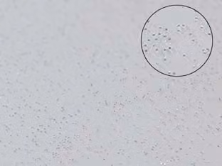 Tovagliato PVC Glitterato Argento 140 Cmh, Rotolo da 30 m 30 m