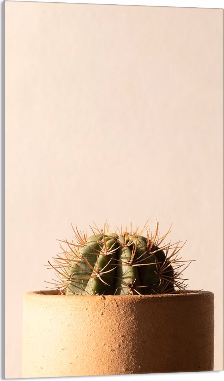 Piastra di copertura del piano cottura 30x52 Piastra di copertura del piano cottura in Vetroceramica, tagliere decorativo, beige cactus