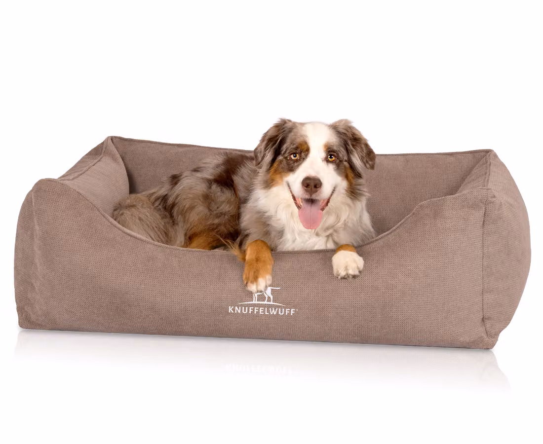 Knuffelwuff: cuccia ortopedica per cani con cuscino reversibile a ventaglio Baltimore 100x70 cm beige