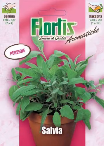 Semi di Salvia in busta