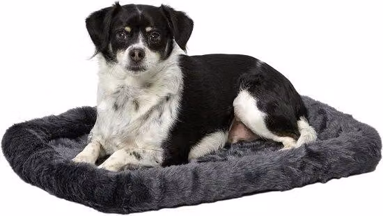 Cuccia per cani con cuscino, grigia, lavabile in lavatrice, con struttura in metallo