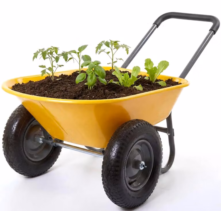 Carriola - Carriola da giardino - Capacità di carico fino a 120 kg - 2 pneumatici con cerchi in metallo - Vasca in plastica - 124 x 66 x 62,5 cm - Ferro e plastica - Giallo