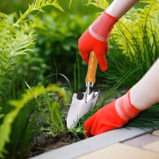 Mini-forbici da giardinaggio con regolazione della profondità, forbici in metallo per piante e rinvaso, manico in legno, piccoli attrezzi da giardinaggio