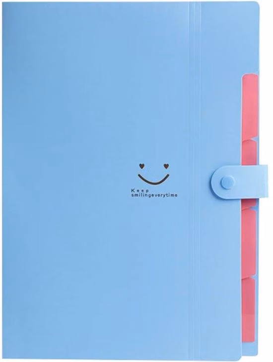 Portadocumenti a 5 scomparti - Cartellina per fogli A4 - Cartellina estraibile con chiusura a scatto - Ideale per l'ufficio domestico - 32,5 cm x 24 cm x 1,7 cm