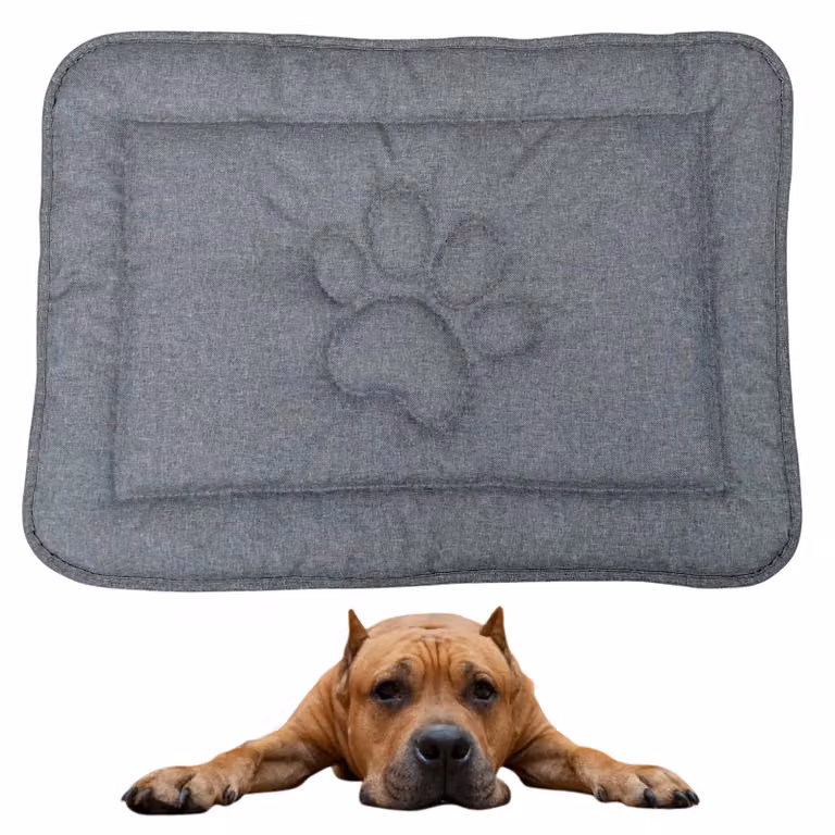 Tappeto per cani DOTTY con motivo a zampa - grigio grafite - misura L (88×60 cm) - impermeabile, antiscivolo e facile da pulire - cuccia per cani di taglia grande