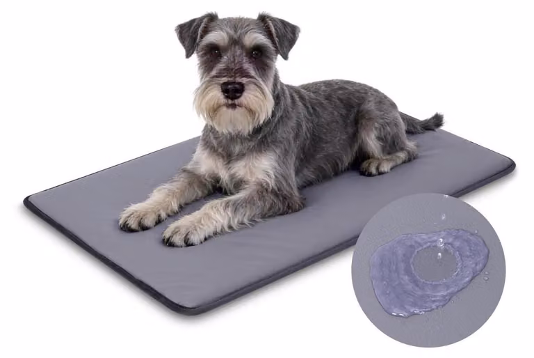 Tappetino per cani da esterno, 75x48 cm, grigio, imbottitura di 3 cm con aspetto in pelle
