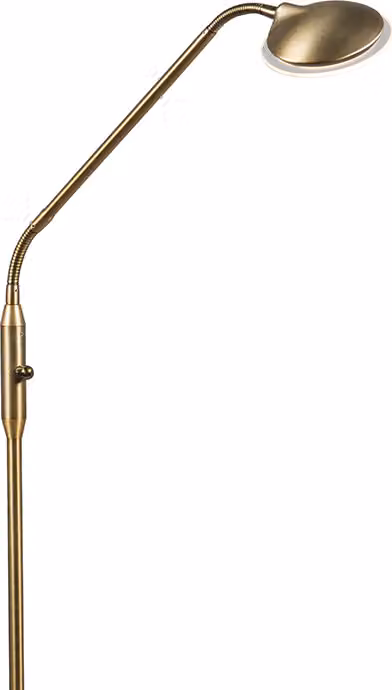 Lampada da terra moderna in bronzo con LED Eva