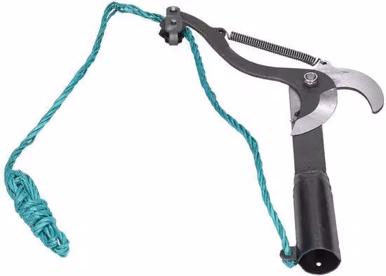Forbice da potatura Acciaio al carbonio, lunghezza lama 3m - Affilata e resistente - ideale per la potatura di alberi da frutto