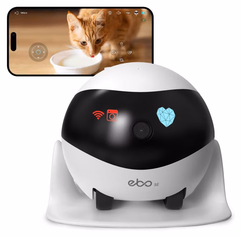 Telecamera di sicurezza per animali domestici - Full HD 1080p - Mobile - Wi-Fi - Ricarica automatica