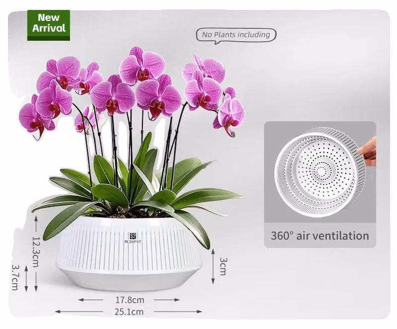 Vaso per orchidee, design a sezione aerea, estetica moderna, bianco - 1 pz. 21 cm