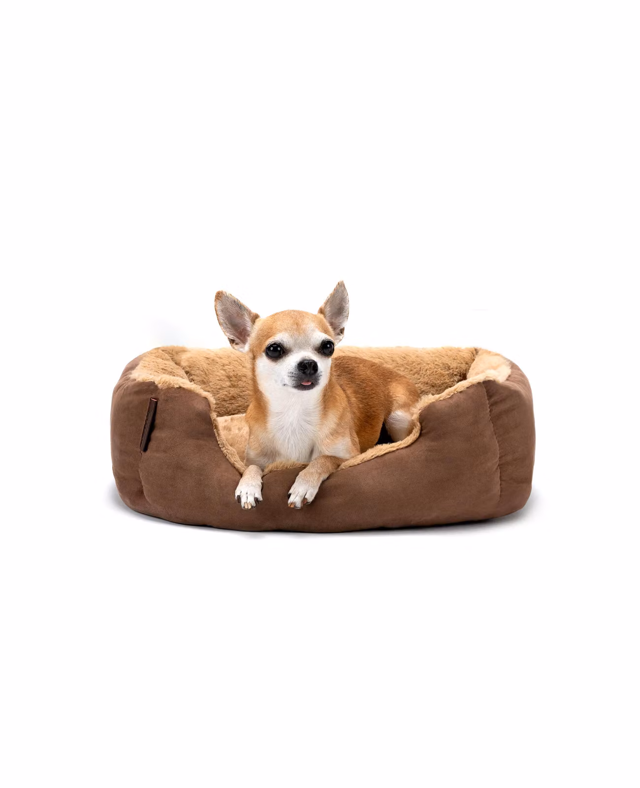 lettino per cani lionto, morbido lettino con cuscino reversibile rimovibile e base antiscivolo, 50x37 cm, marrone/beige