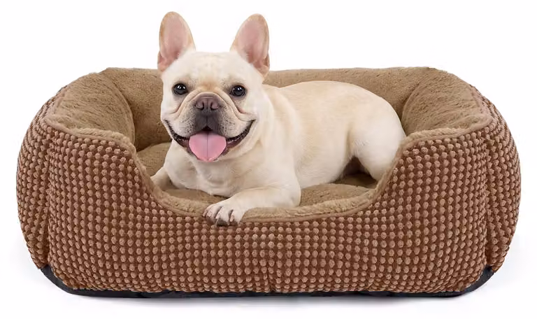 Cuccia per cani 51x48x15 cm, lavabile, morbida, antiscivolo, adatta a cani di piccola taglia e gatti