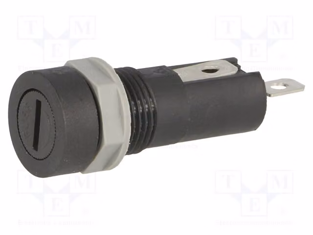 1 fusibile cilindrico da 5x20mm, 10A, per scatole di fusibili a parete PTF/70