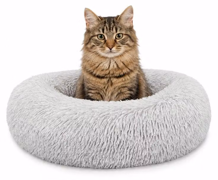 lionto Cuscino per gatti Donut, letto rotondo con rivestimento in peluche e base antiscivolo, bordo rialzato per la sicurezza, diametro 40 cm, grigio chiaro