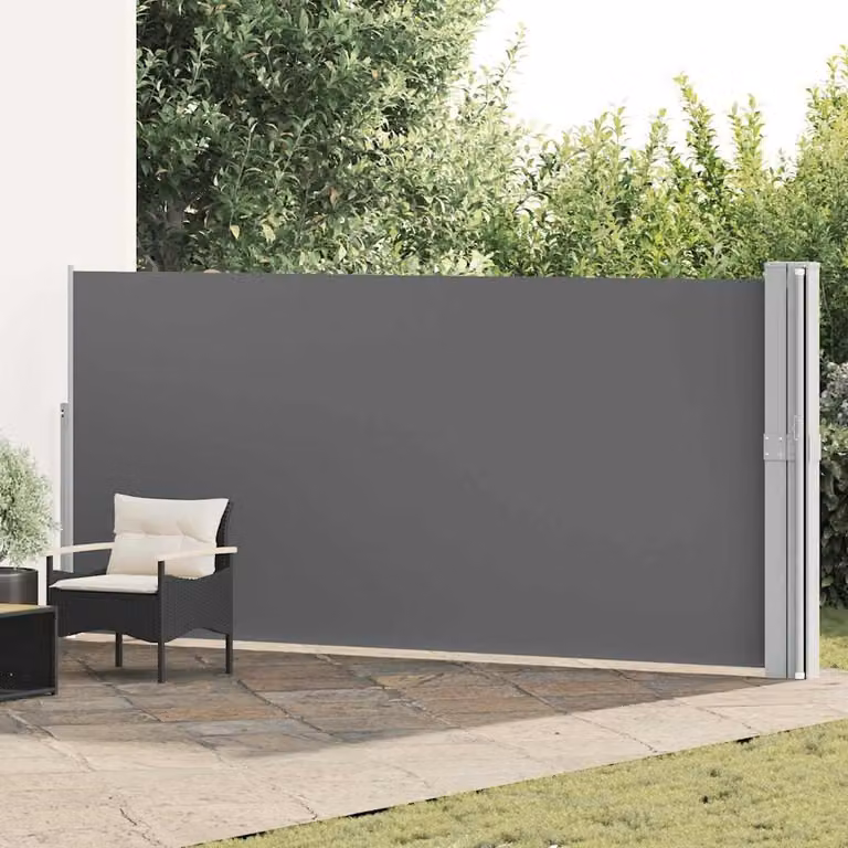 Maison Exclusive - Tenda da sole laterale estensibile, 170x1200 cm, colore antracite