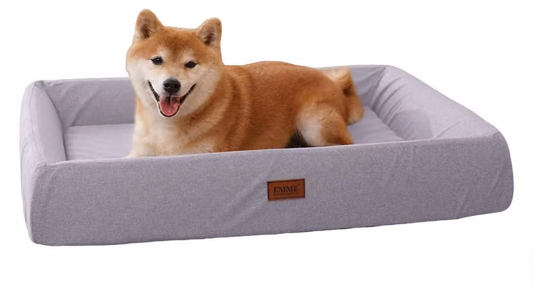Cuccia ortopedica per cani, divano ergonomico per cani, 67x51 cm, colore viola