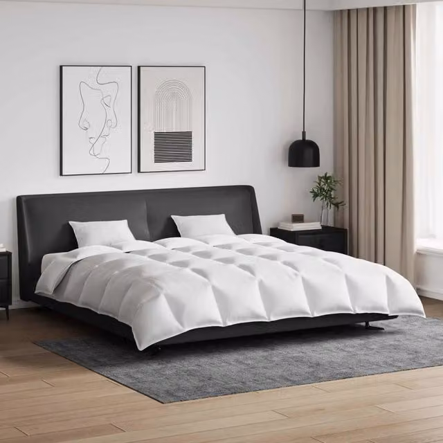Set di 3 pezzi composto da piumone e cuscini vidaXL in piuma d'anatra bianco per adulti