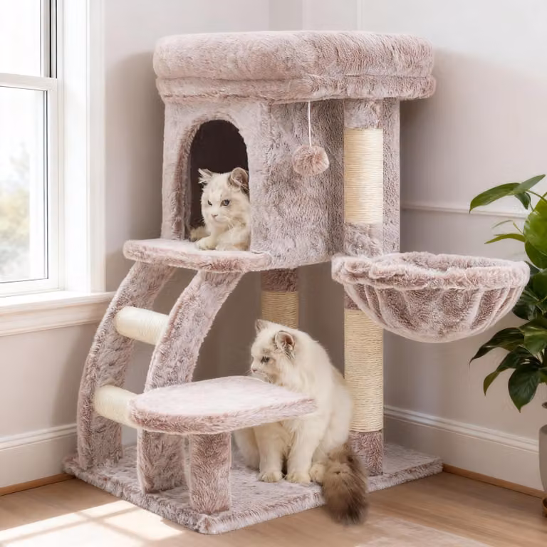 Albero per gatti piccolo, alto 75 cm, con piattaforma, tana, amaca, scala e accessori per gatti