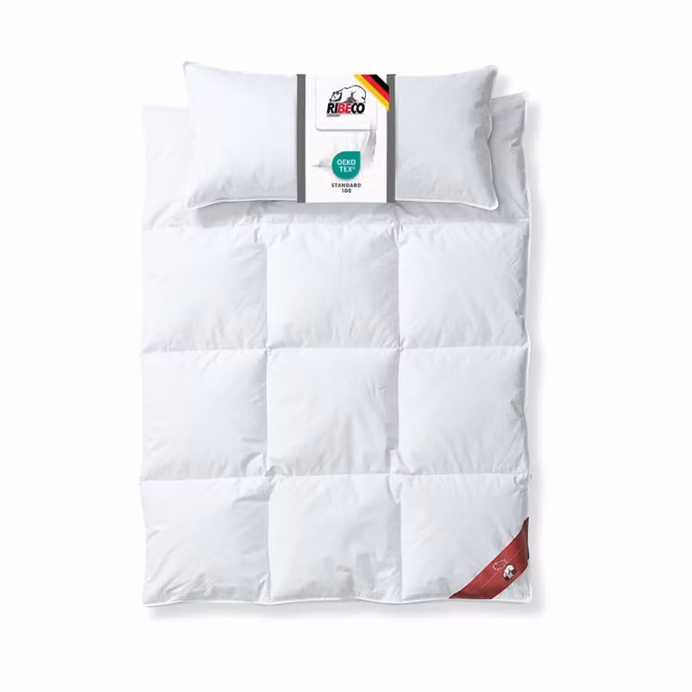 RIBECO GERMANY Piumino Johanna 135x200 cm e cuscino 40x80 cm in set da 2 – Piumino e cuscino in piume e piumino, extra caldo