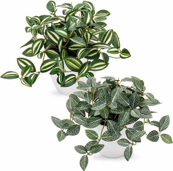 Set di piante artificiali composto da Pothos e Fittonia Albivenis, stile moderno, 18 cm, PU, per soggiorno, balcone, camera da letto, bagno