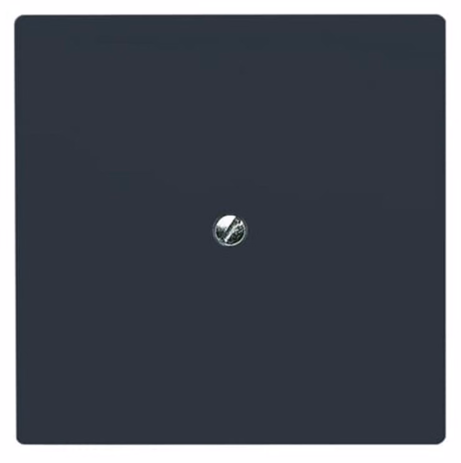 Disco centrale cieco Busch-Jaeger con anello di supporto 2138-35