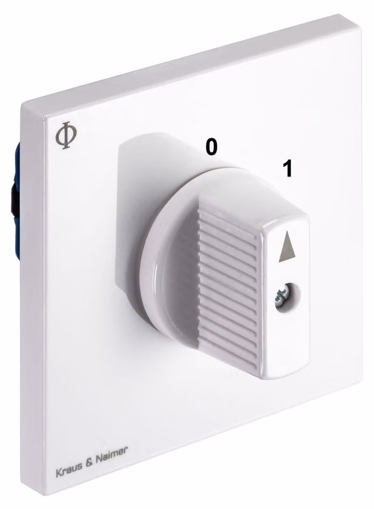 Interruttore a due poli, angolo di apertura 60°, 20 A, 690 V, grado di protezione IP40, interruttore di regolazione da incasso