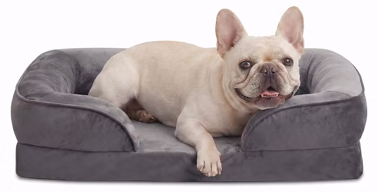 Cuccia ortopedica per cani di piccola taglia, lavabile, con imbottitura in memory foam e schiuma a cellule aperte