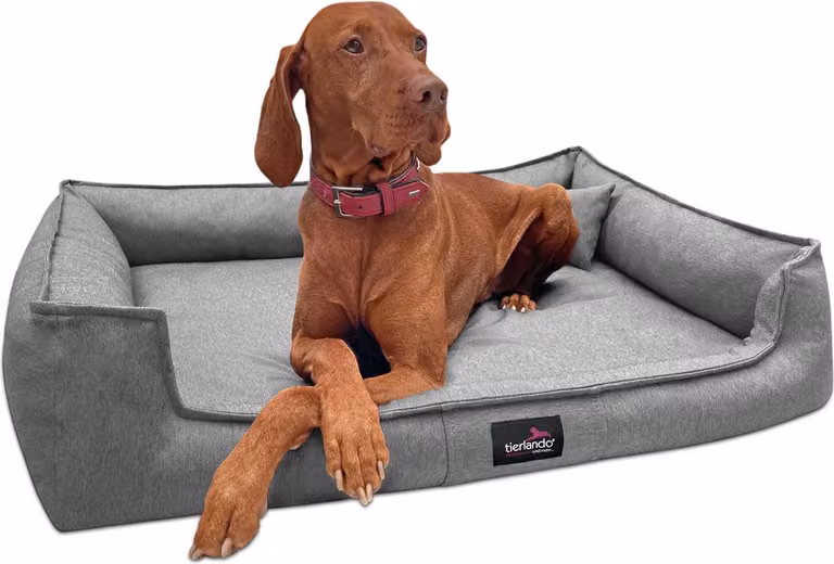 tierlando® Letto ortopedico per cani GUSTAV SCANDI CHIC Divano per cani di taglia grande XL - Dimensioni: 130x100cm | Colore: 06 Grigio