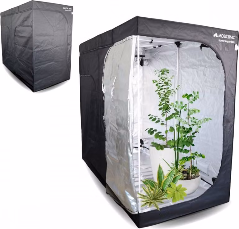 Mobiclinic, tenda da coltivazione, per interni, 240x120x200cm, Premium Mylar 97% riflettente, sistema idroponico, grow box, struttura stabile, tenda da coltivazione
