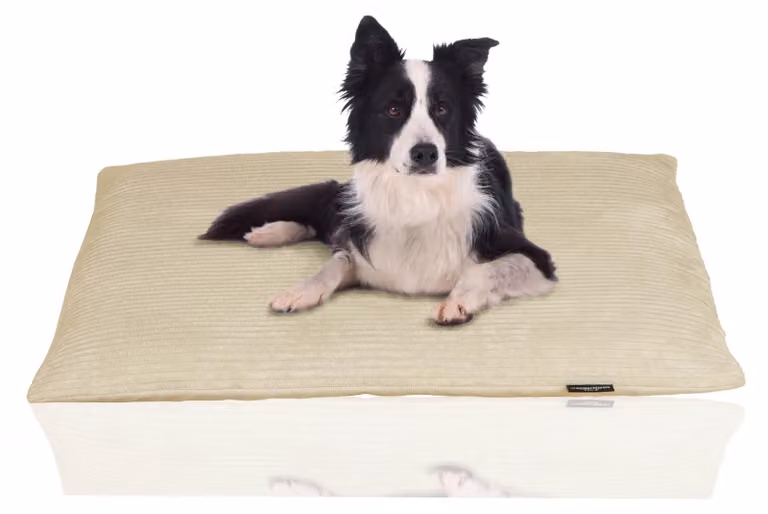 Tagliatubi Morbido letto per cani con rivestimento lavabile | Comodo cuscino per cani in velluto a coste | Copriletto premium per cani | Letto per cani lavabile | Morbido cuscino per cani, taglia: XL