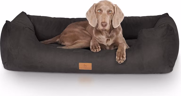 Letto per cani Dreamline L-XL - 105 x 75 cm | Nero