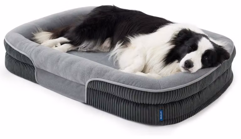 Cuccia ortopedica per cani, taglia XL, 106x76x18 cm, grigia, con fodera impermeabile e base antiscivolo