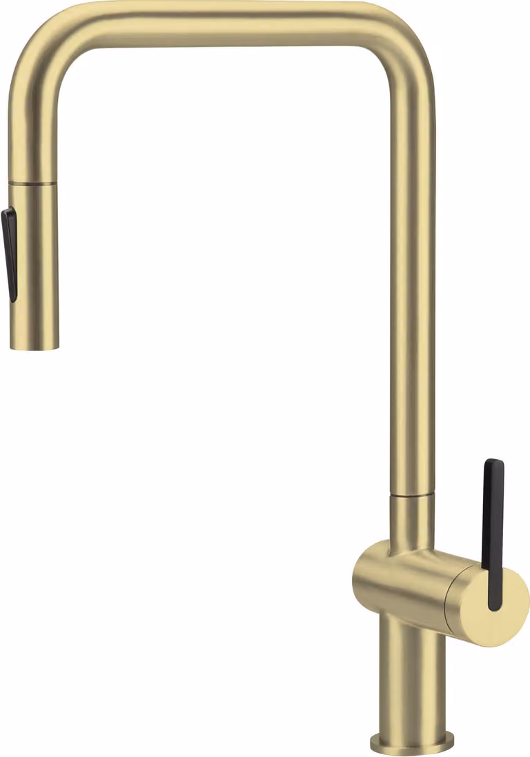 Kitchen faucet with pull-out spout