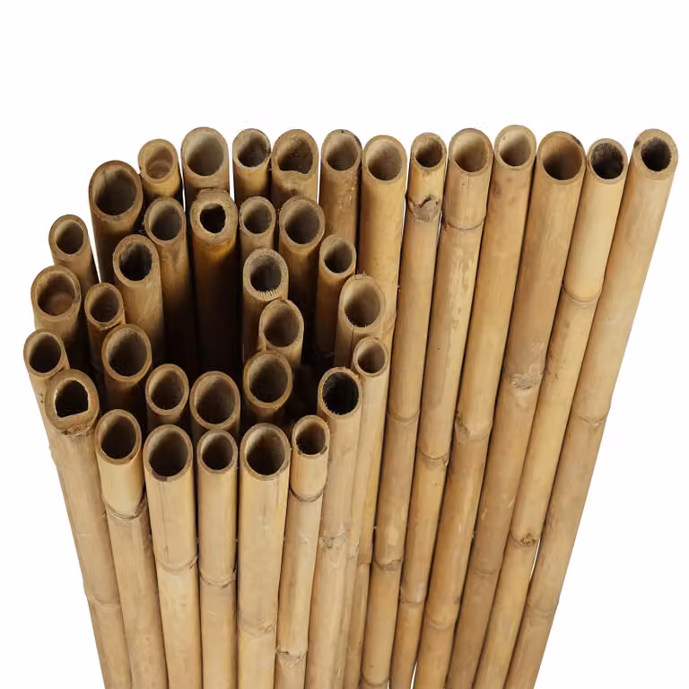 Rotolo di bambù naturale Tali Gigant 180 x 100 cm (recinzione in bambù)