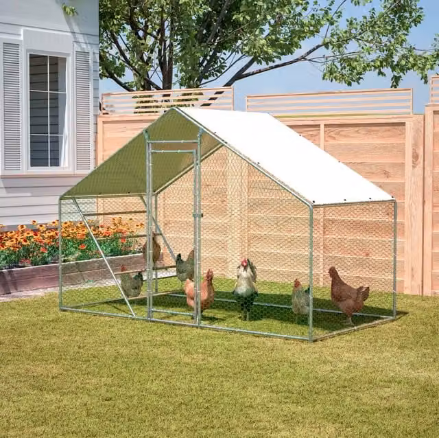 Voliera per polli 303x157x200 cm in acciaio zincato grigia con scala –