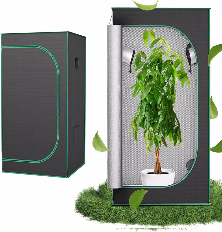 QEENTOE, tenda di coltivazione 80x80x160 cm, ideale per la crescita indoor di verdure ed erbe aromatiche, serra per la coltivazione di piante