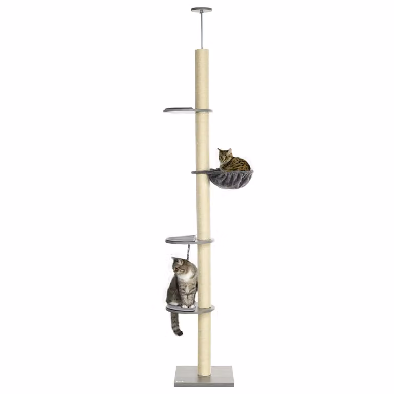 Albero per gatti, alto fino al soffitto, con altezze regolabili, dotato di pali, amaca, ideale per gli amanti dei gatti (grigio)