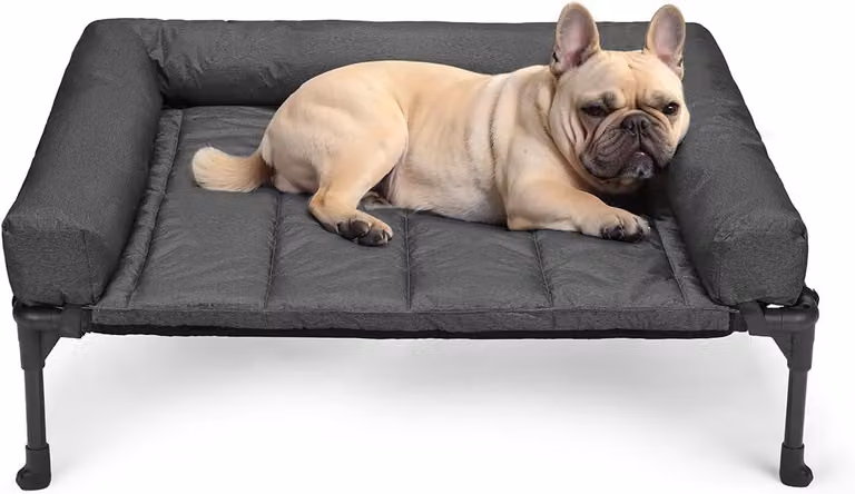 Letto rialzato per cani, dimensioni 81 x 64 x 18 cm, adatto a cani fino a 50 kg, realizzato in tessuto Teslin traspirante, colore nero