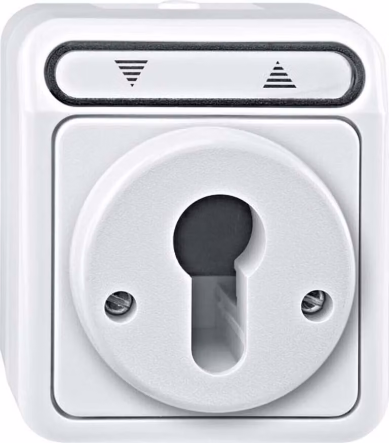 Pulsante per tapparelle per cilindro di chiusura, grigio chiaro, AQUASTAR