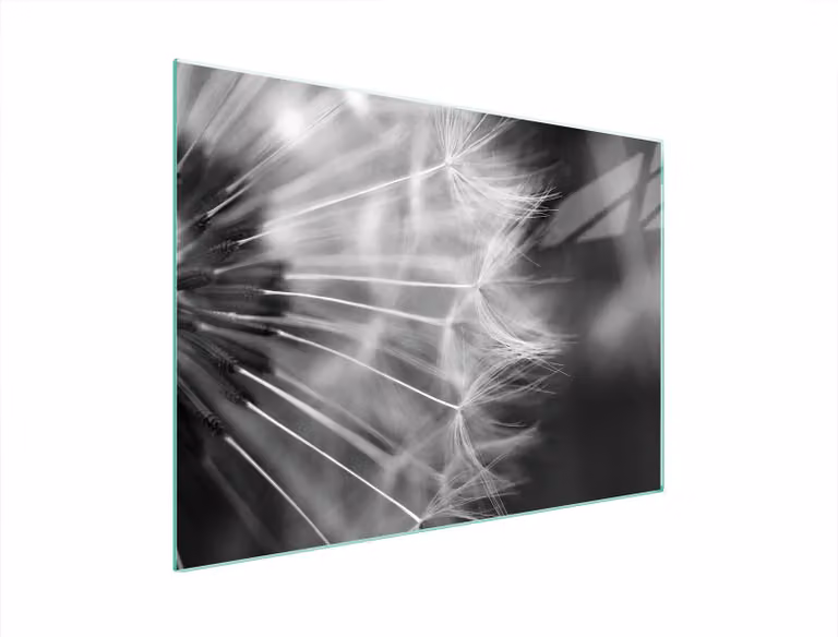 Piastra Di Protezione In Vetrina Per Levi 70X52 Blume