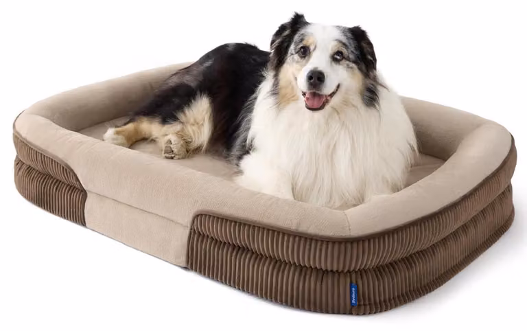 Cuccia ortopedica per cani, modello XL, dimensioni 114x81x18 cm, colore marrone, realizzata in pile resistente all'acqua e con fondo antiscivolo
