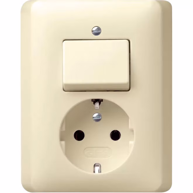 Gira 017601 Combinazione SCHUKO a doppio interruttore standard 55 bianco crema