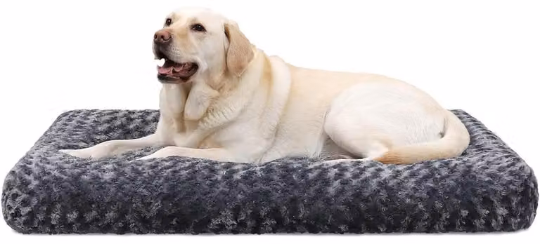 Cuccia per cani, dimensioni L (91x68 cm), colore grigio scuro, lavabile, morbida, antiscivolo, traspirante
