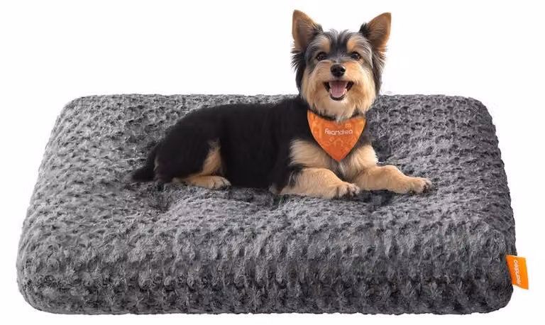 Cuccia per cani con imbottitura morbida | Grigio ardesia | 80x50x10 cm