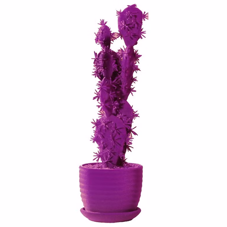 Complemento d'arredo Cactus 40 Adriani e Rossi