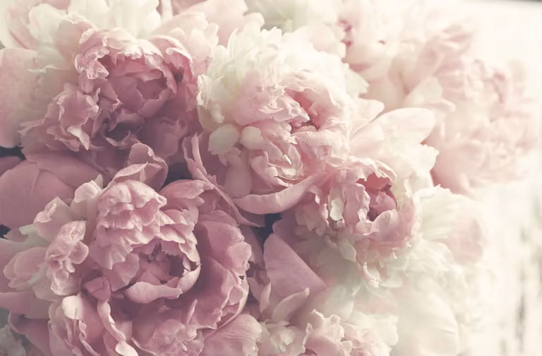 Tappeto magnetico per radiatori, fiori, peonie, rose, 60x100