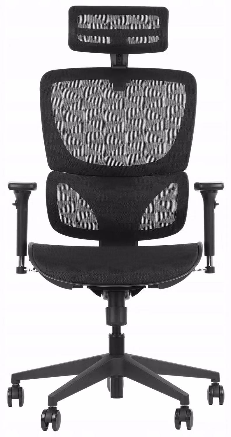 Sedia girevole ergonomica da ufficio ErgoNew S1, base in nylon, braccioli regolabili, poggiatesta, seduta e schienale in rete regolabili, nero